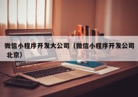 微信小程序开发大公司（微信小程序开发公司 北京）