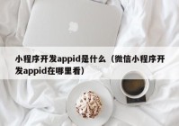 小程序开发appid是什么（微信小程序开发appid在哪里看）